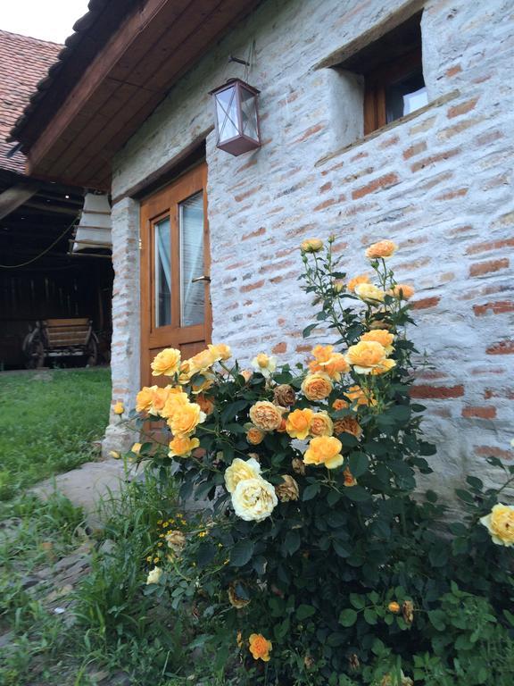 Dominic Boutique - Gardener'S Cottage Cloasterf Экстерьер фото